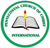 PCCI STORE Logo